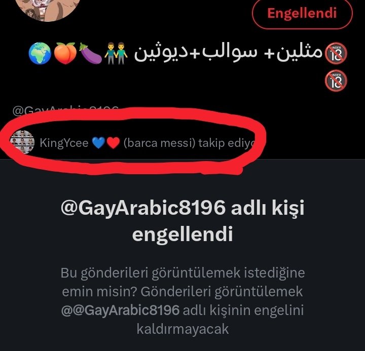 🦁 James 5 ★ tweet media