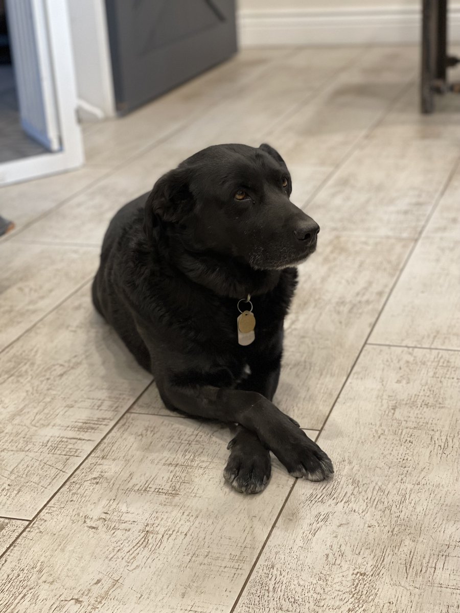 Brett L. Tolman tweet media