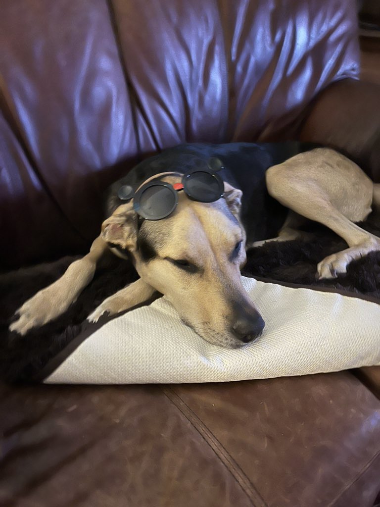 VirtualMvtt🔞COMS OPEN tweet media