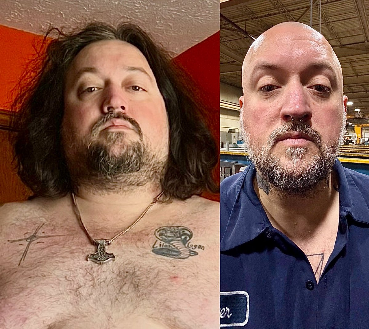 🦍 Silverback tweet media