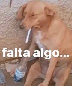 picalegre tweet media