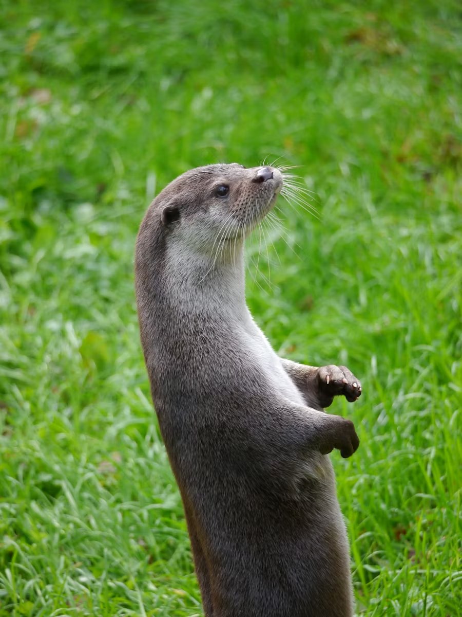 Natureforall tweet media