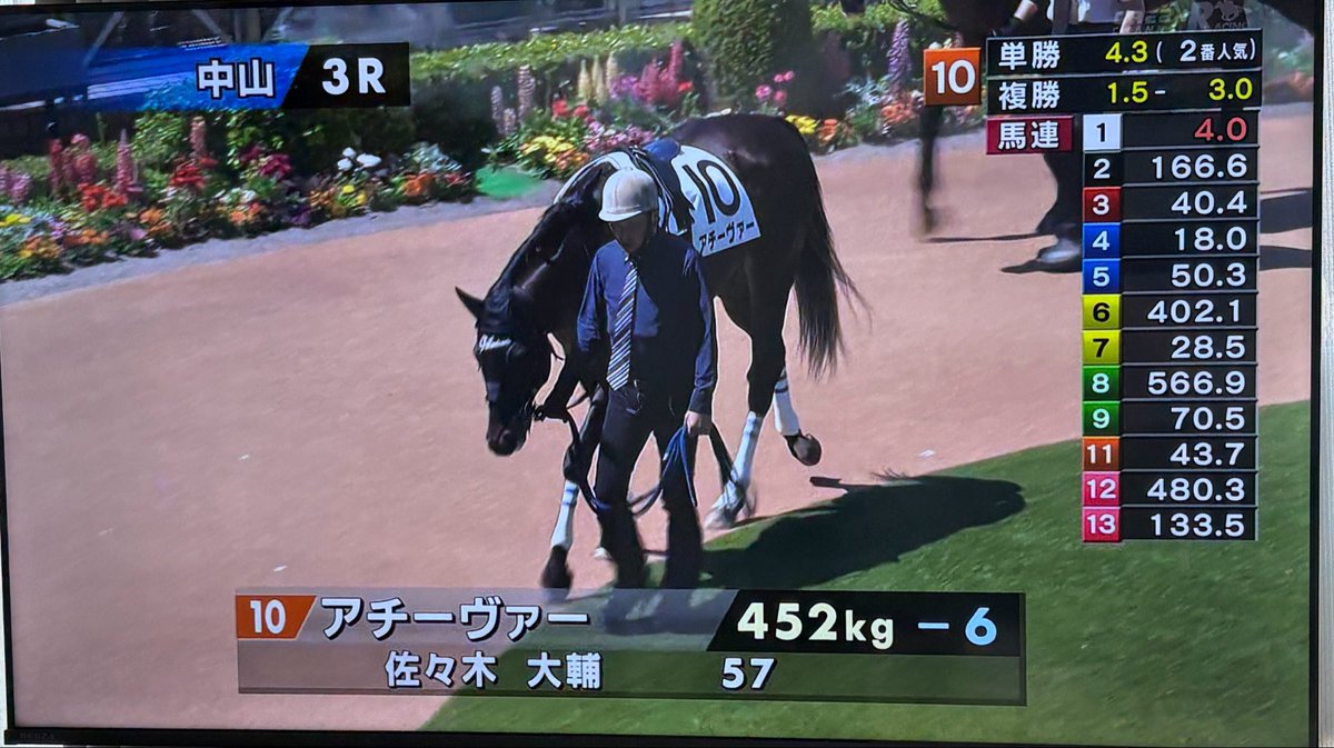 ぱんだ(🇯🇵1-1-4-2-3-15)(🇦🇺3-1-0-0-5-0) tweet media