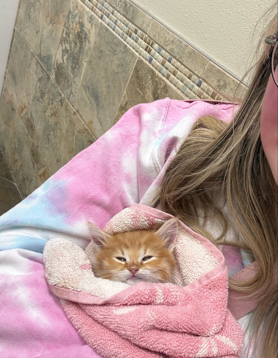 ⋆｡‧˚ʚ kass ɞ˚‧｡⋆ tweet media