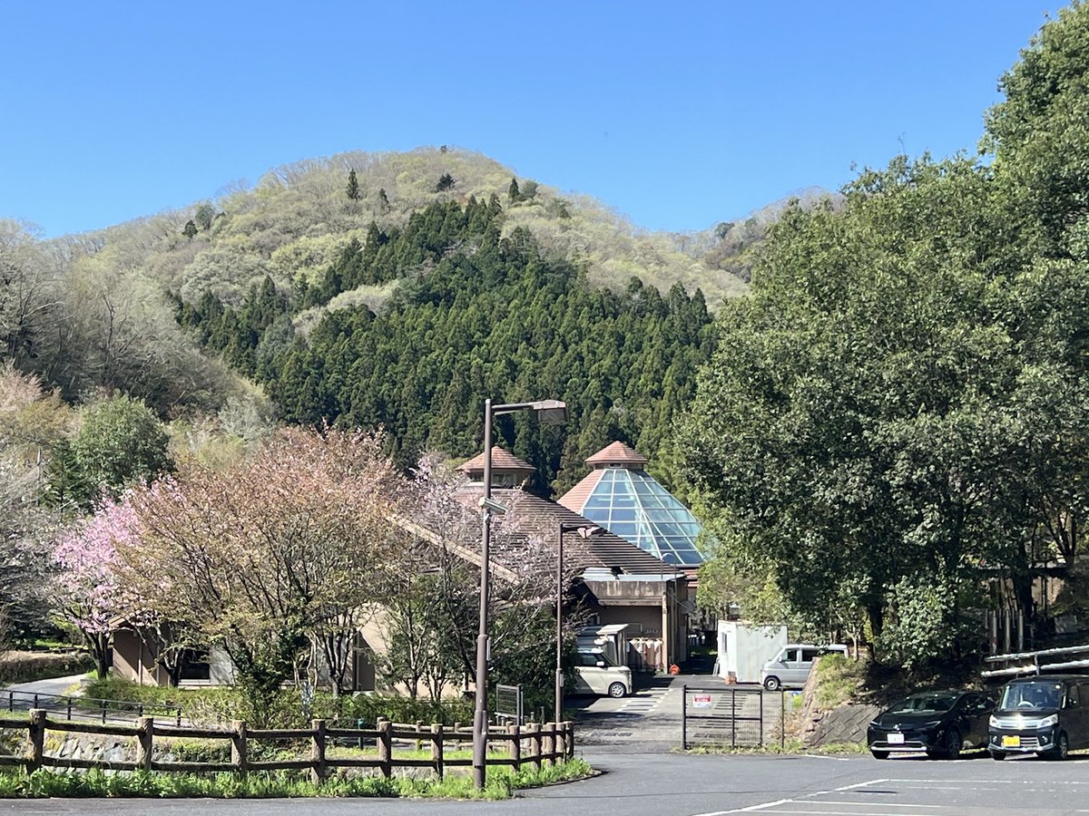 ハマのゲソ tweet media