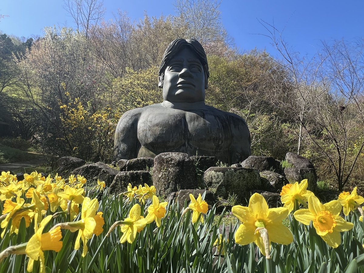 ハマのゲソ tweet media