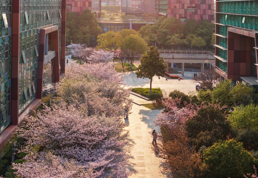 XJTLU's tweet image. Spring is in full bloom at XJTLU 🌸✨

#XJTLU #SpringVibes #CampusLife #StudyInChina #suzhou