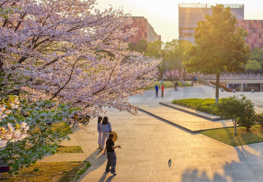 XJTLU's tweet image. Spring is in full bloom at XJTLU 🌸✨

#XJTLU #SpringVibes #CampusLife #StudyInChina #suzhou