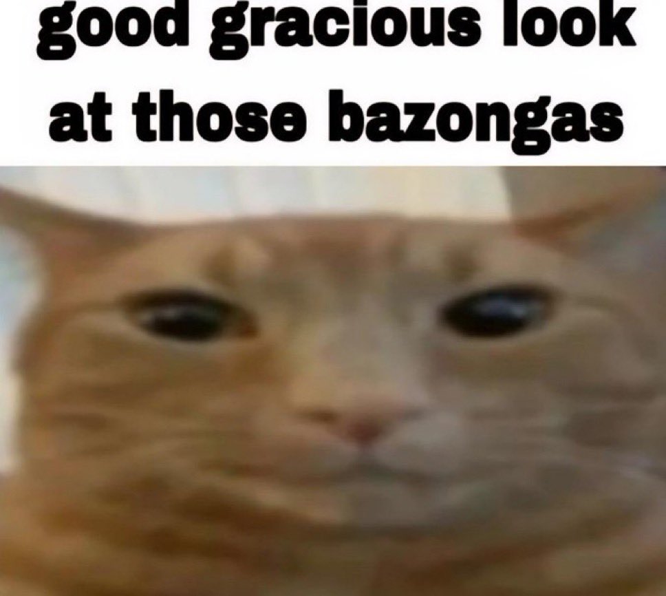 𝐁𝐰𝐢𝐳𝐖𝐢𝐳𝐚𝐫𝐝✧ tweet media