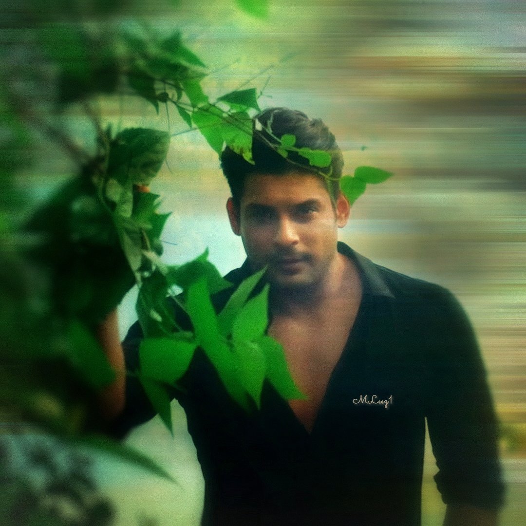 🌿Mleez🌿 tweet media