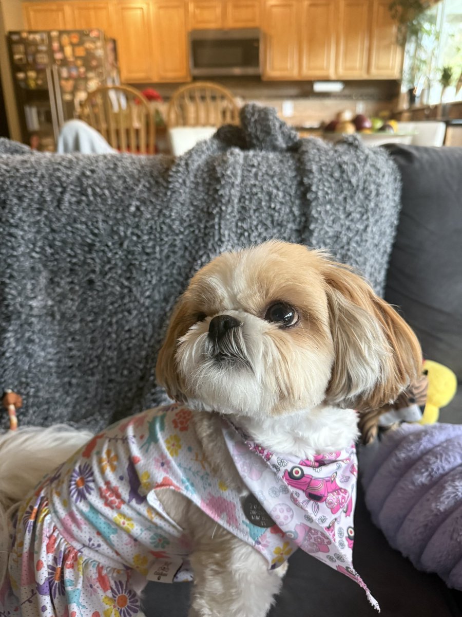 GarciaMargie tweet media