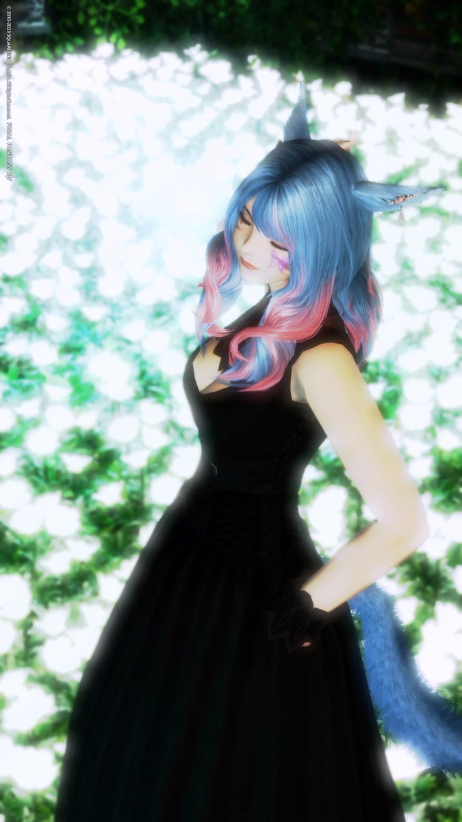 ruri 𖤣𖥧𖥣。𖥧𖧧❁⃘*.゚🦋 tweet media