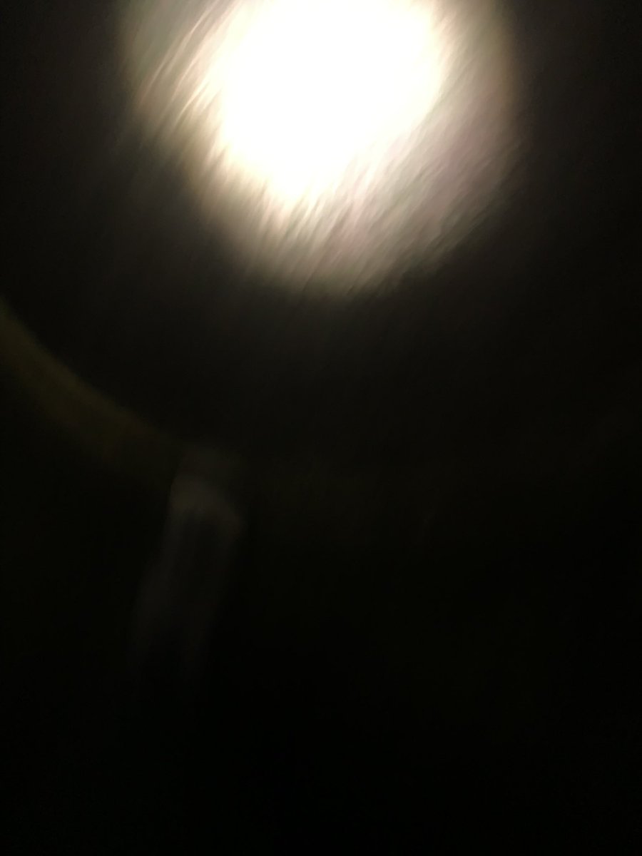 Codemanduza tweet media