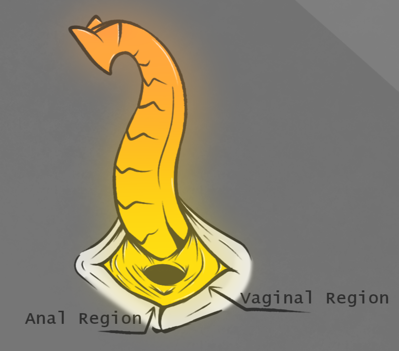 🔞🦁Luma tweet media