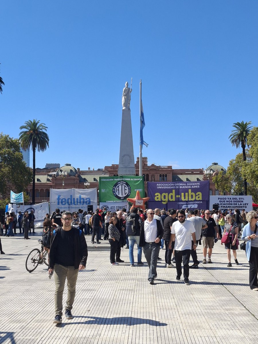 Antonella Bianco tweet media