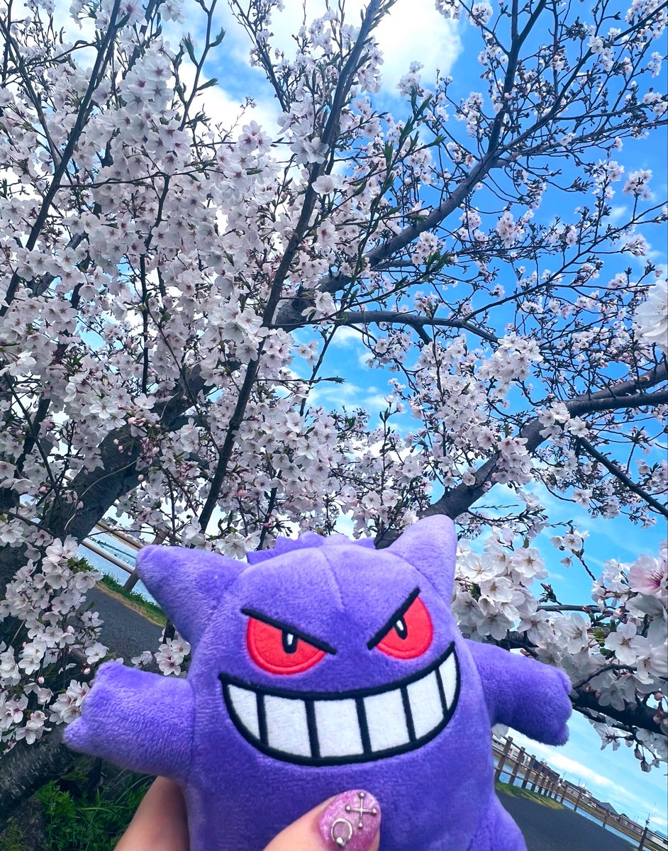 tama_pp10's tweet photo. 🌸 https://t.co/ThbH4461H5