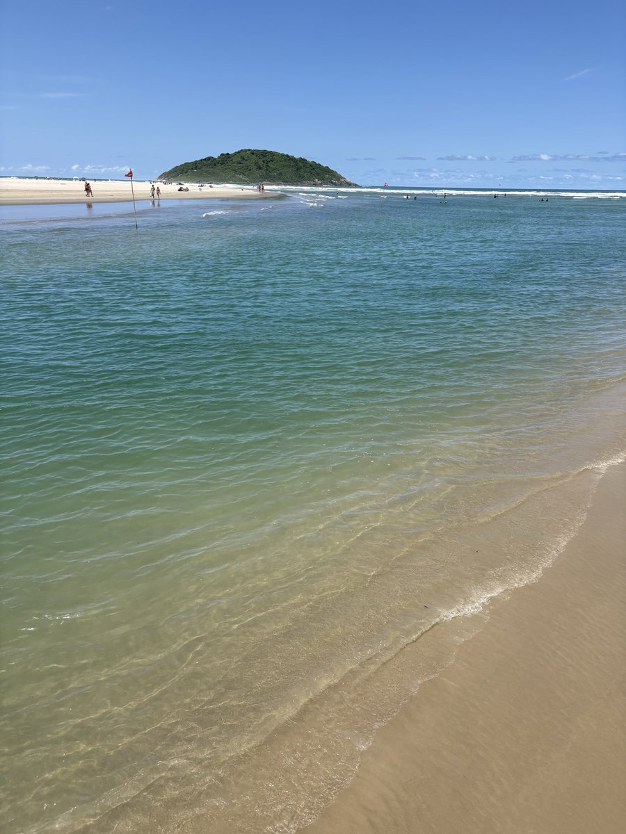 Daniela Fagundes tweet media