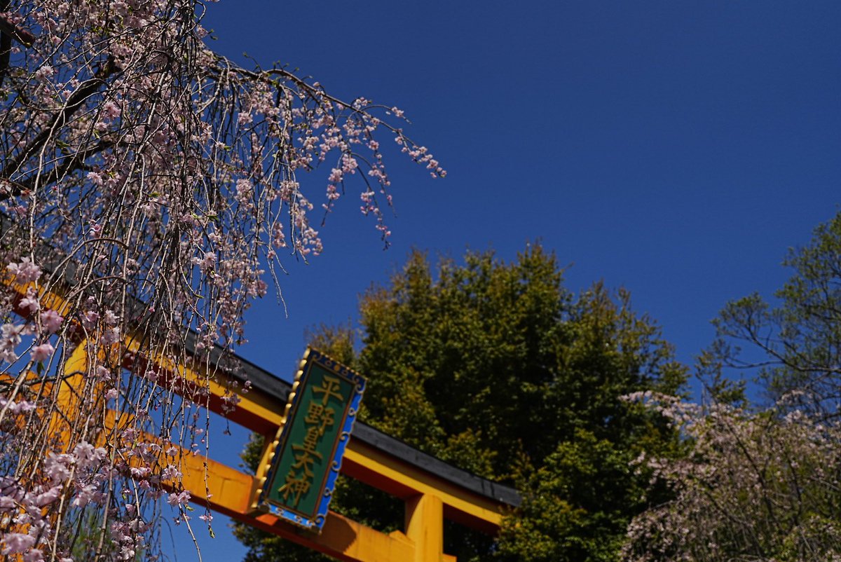 やすま tweet media