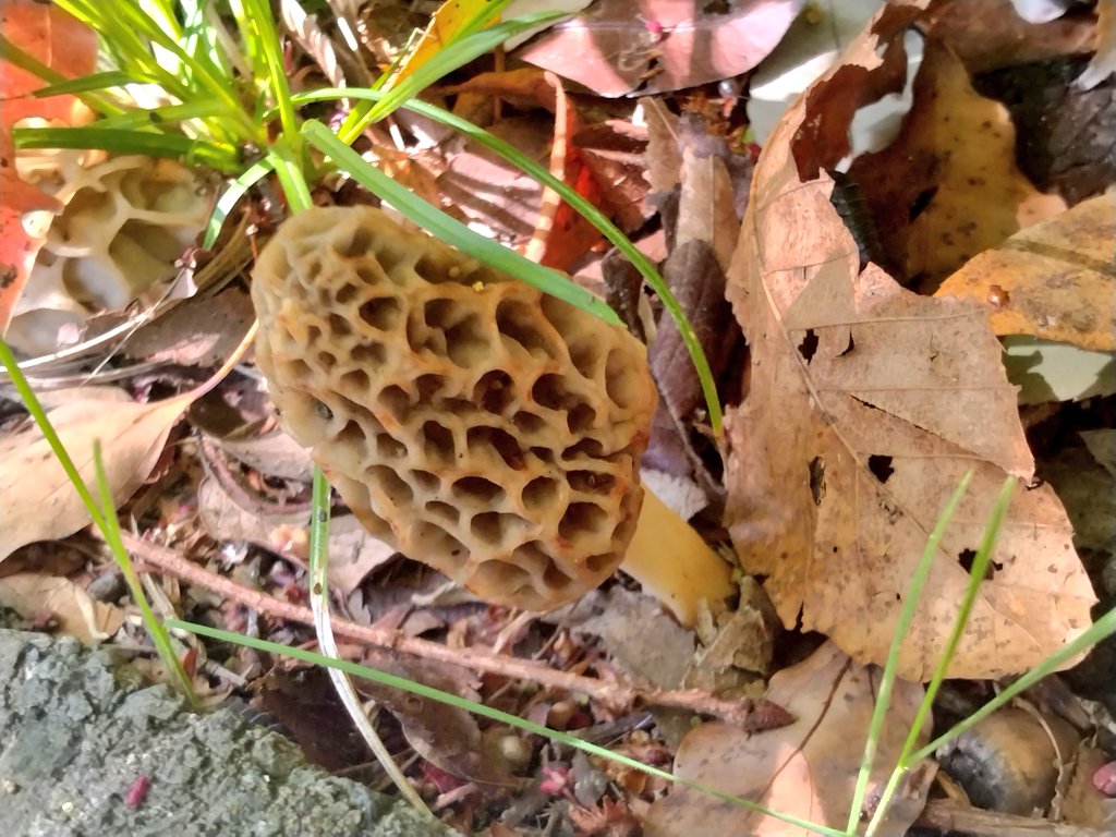 みやママちゃん tweet media