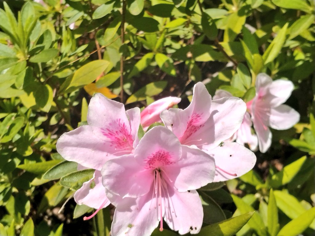 みやママちゃん tweet media