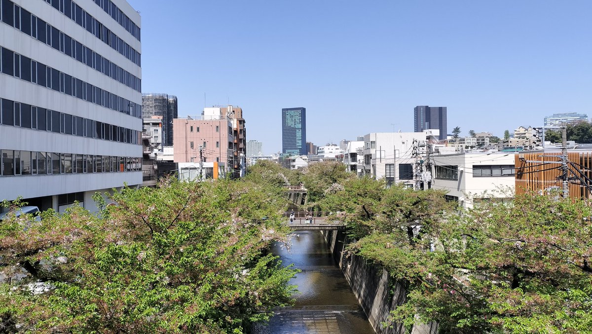 yuki_tk14's tweet image. 0330と0411の比較。
あっという間ですね。
#中目黒 #桜