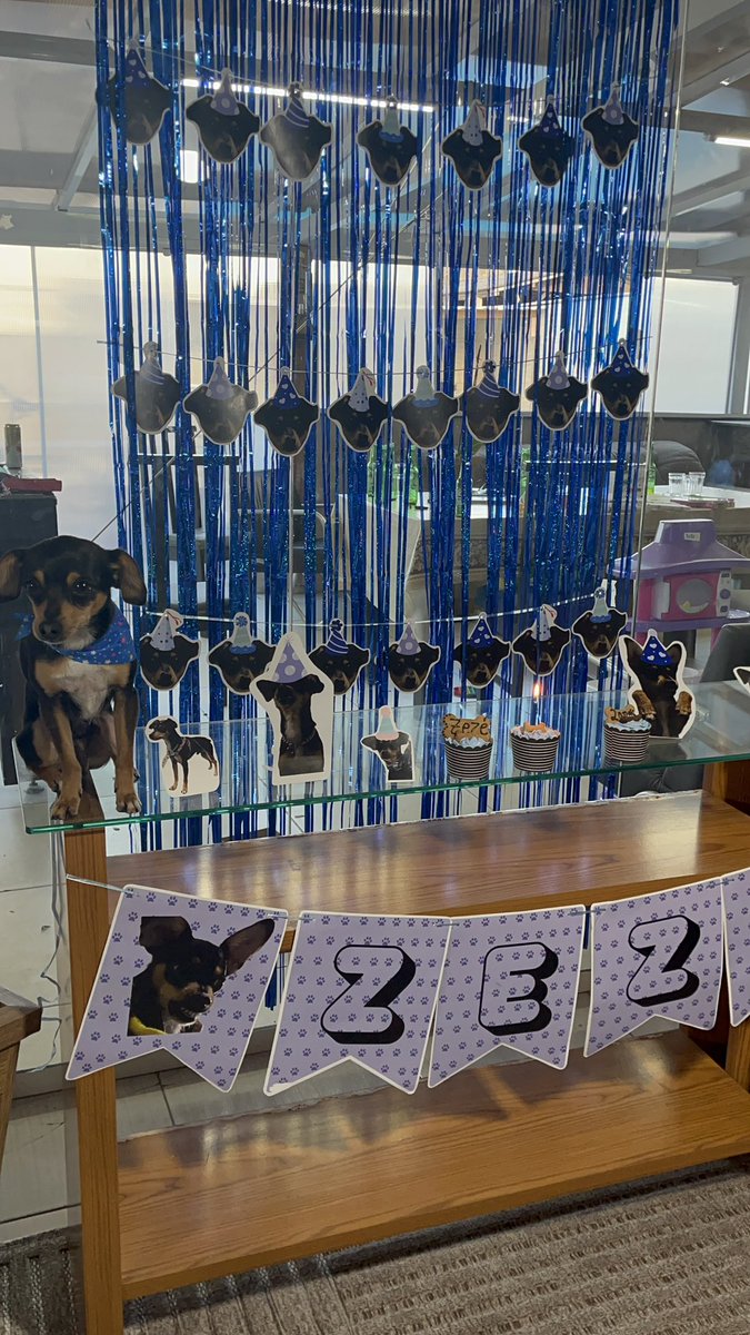 natalia sem aga 𓅷 tweet media