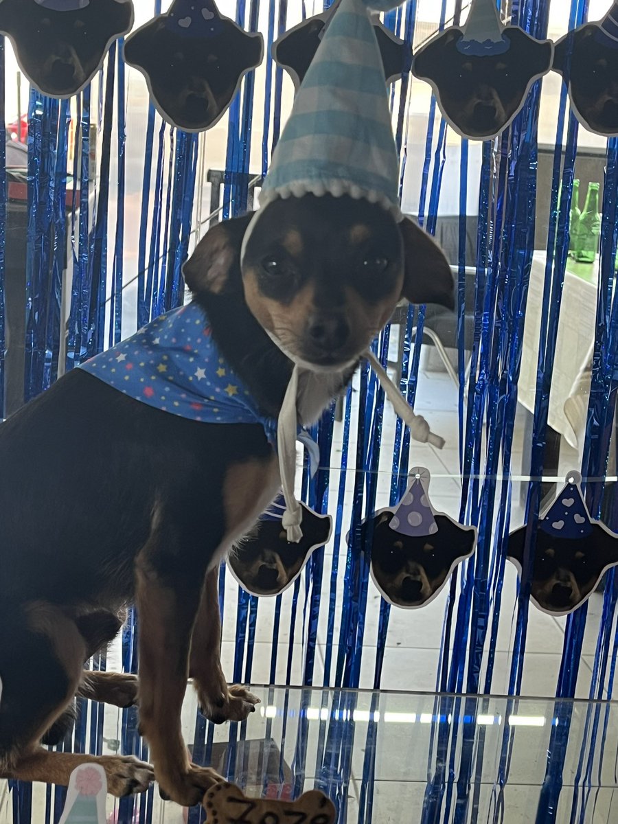 natalia sem aga 𓅷 tweet media