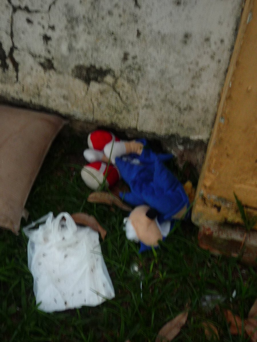 blu' 🇨🇳 tweet media