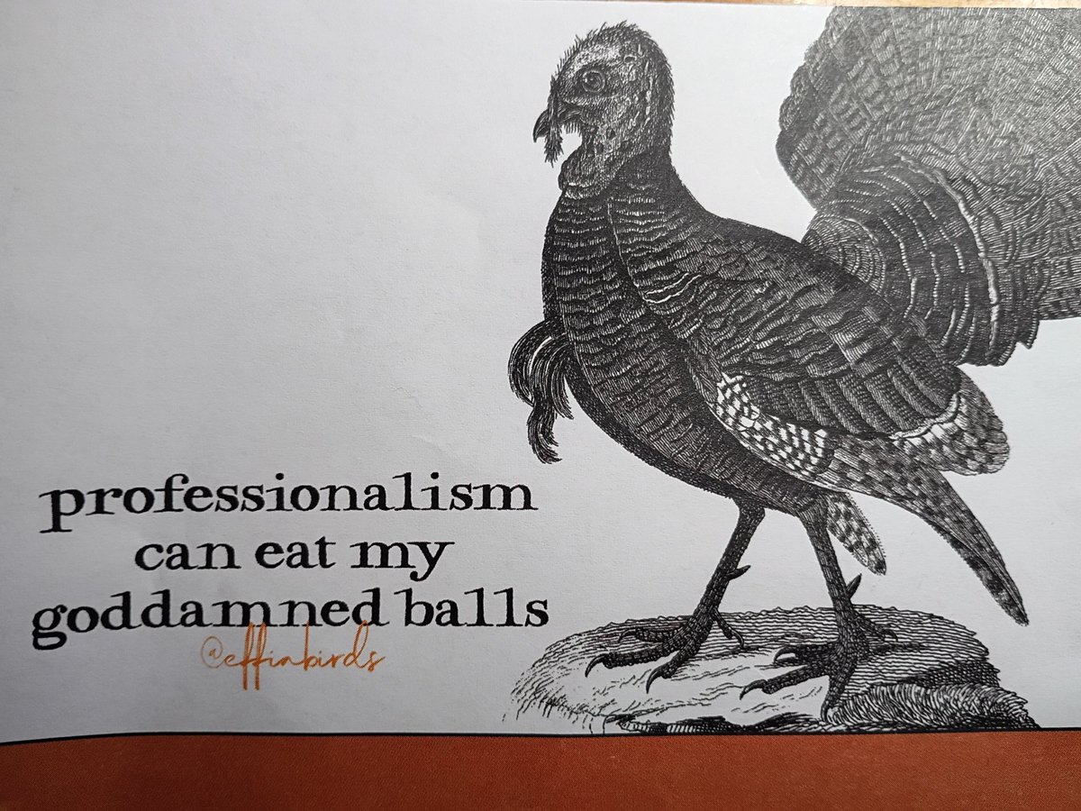 Strong words from a bird...
#ahigherperspectivethepodcast