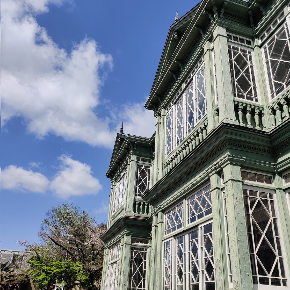 PANDA MOON tweet media