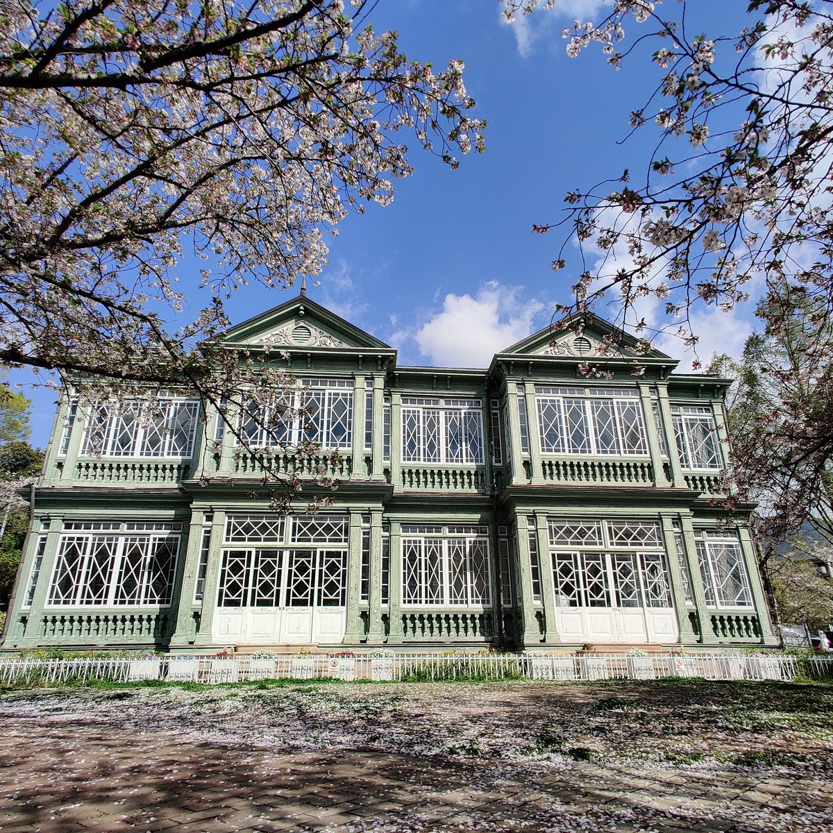 PANDA MOON tweet media