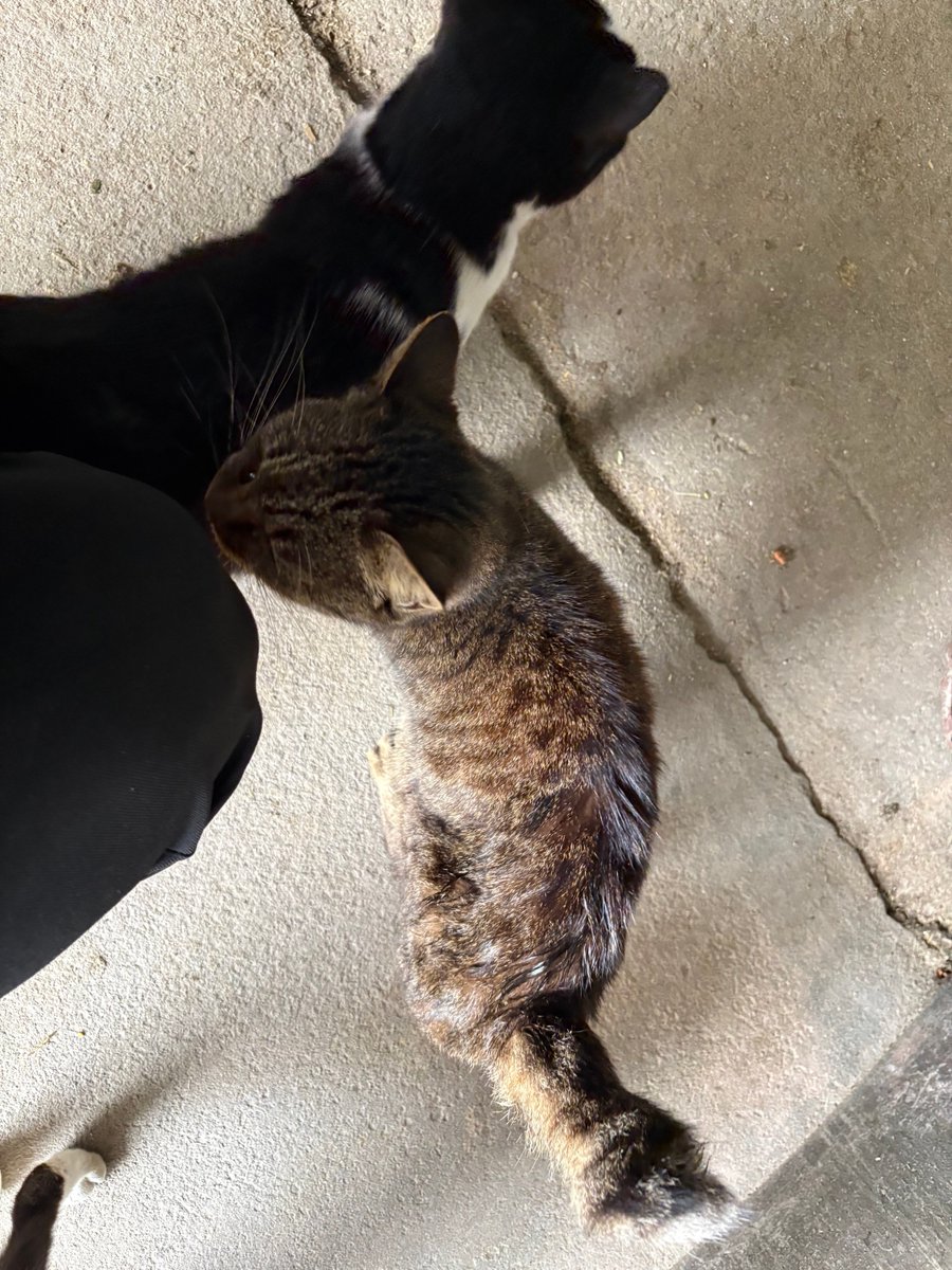 なるせ tweet media