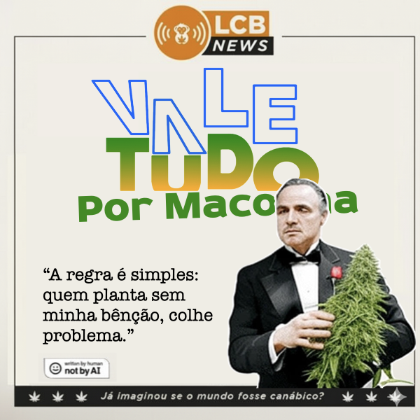 gustavopalencia's tweet photo. @canabisbrasil #PolígonodaMaconha https://t.co/ZnlDx0foSg