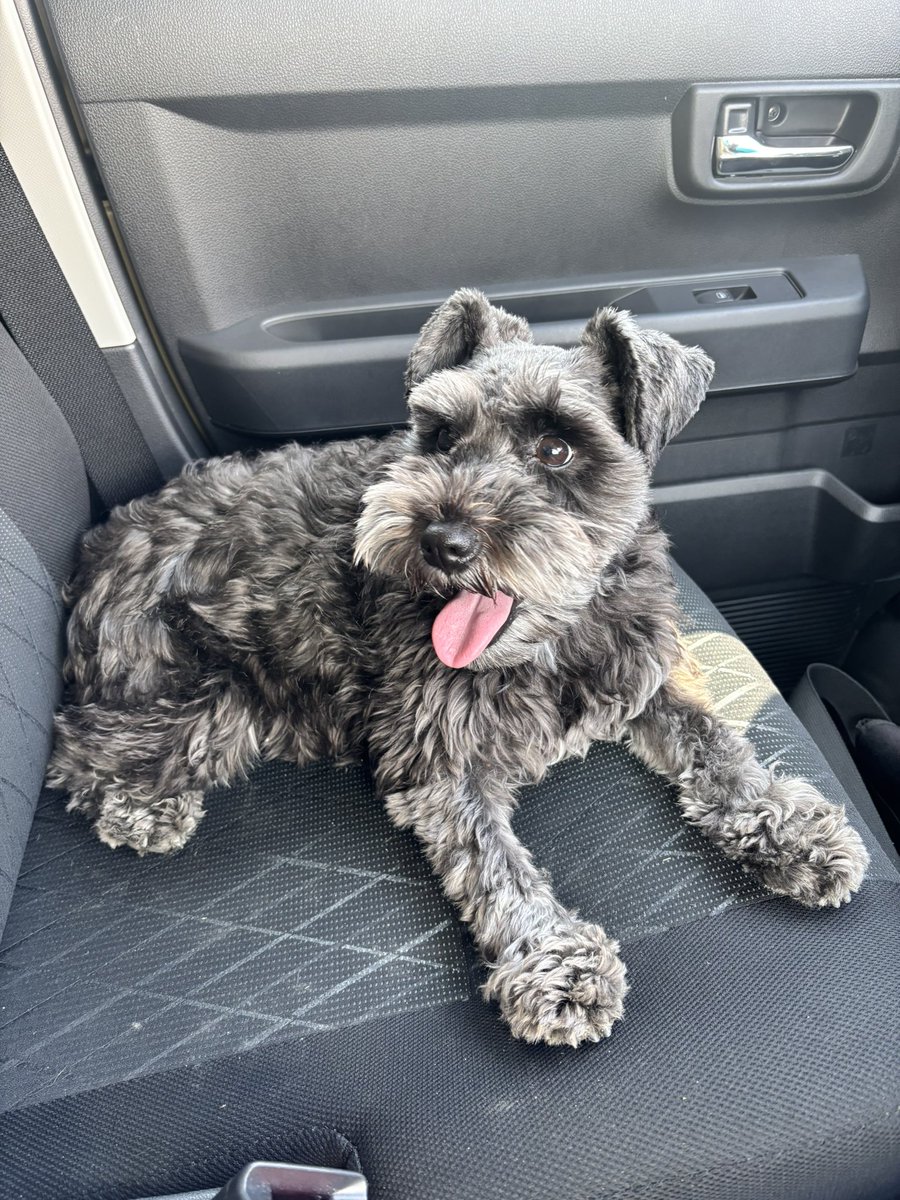 隊長りょうきち ラジコン3150 tweet media