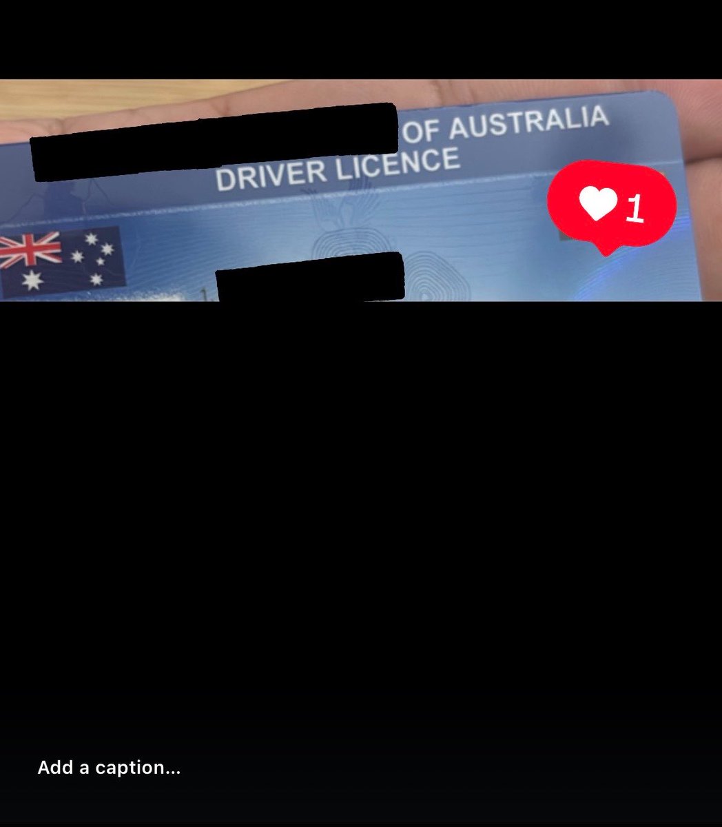 garibaldi. tweet media