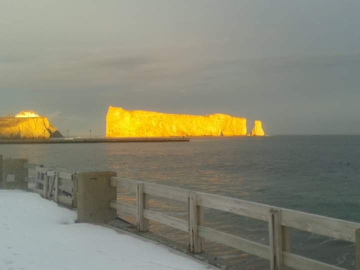 simontremblay81's tweet image. Pour ceux et celles qui ont vécu dans ce coin de pays, voici votre précieux Rocher hier à 15h15 sous l'effet du soleil. Wow! On dirait qu'il est recouvert d'or...  #Percé #Gaspésie #Printemps #BeautéduQuébec
Texte et photo: Monique Forest (31 mars 2020)