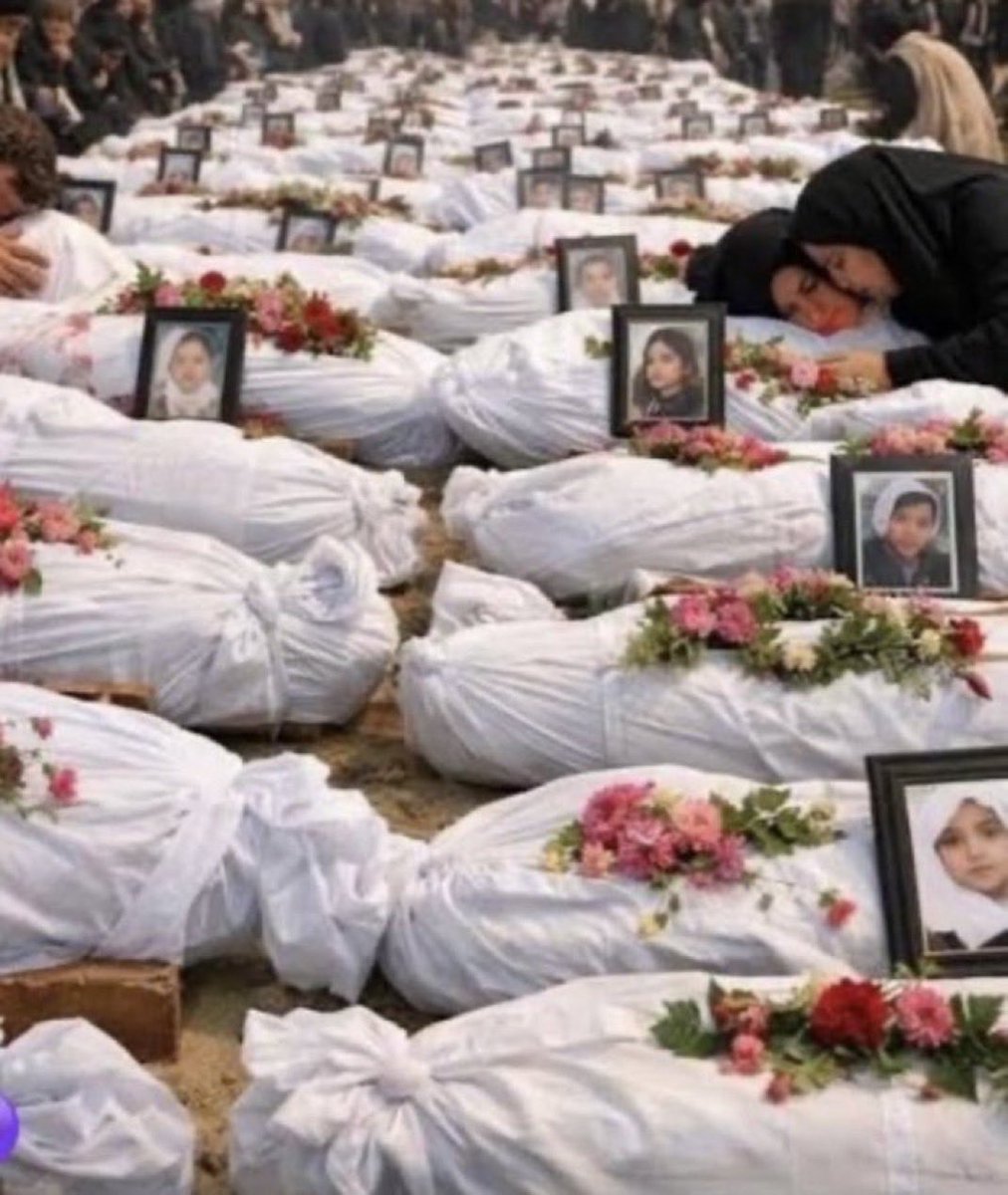 Zhukov45 tweet media