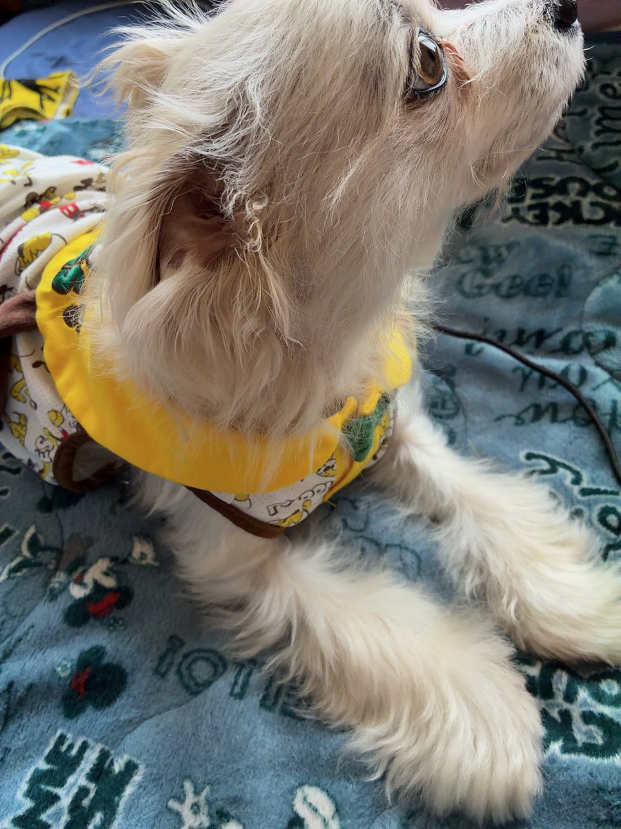 SHINON🤗 tweet media