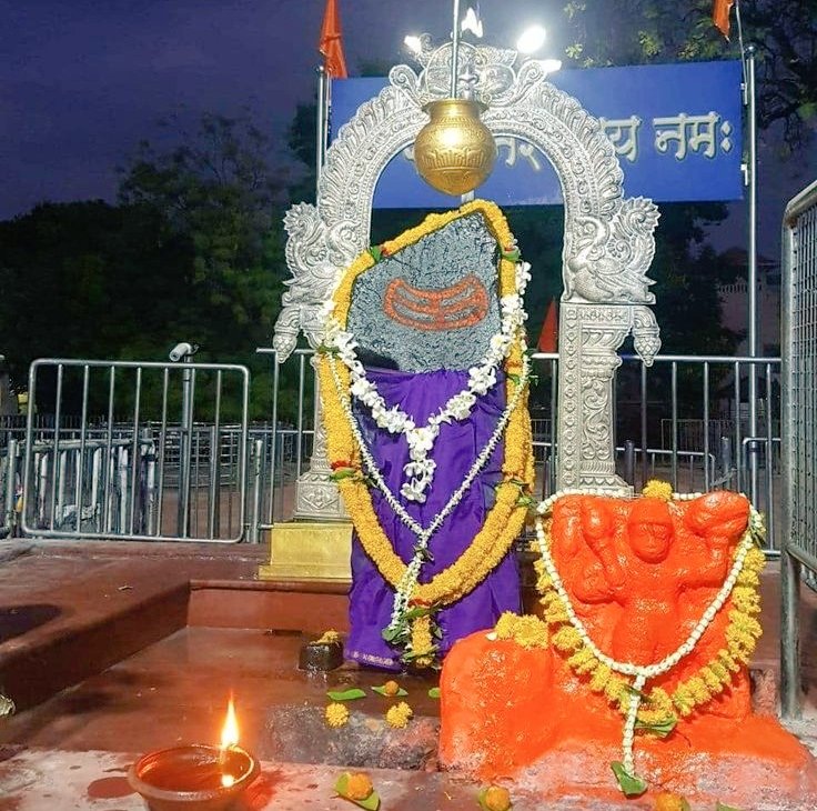 Shruti Sagarika tweet media