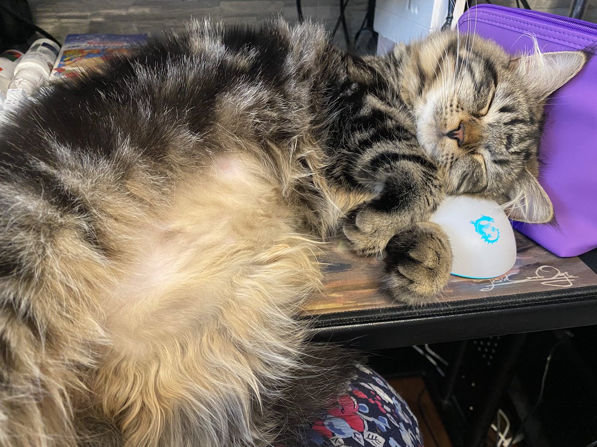 ふぇっちん🐰☽Hades tweet media