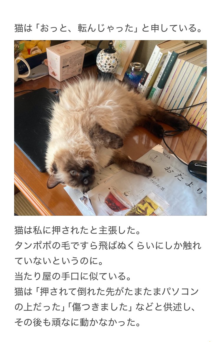 やーこ tweet media