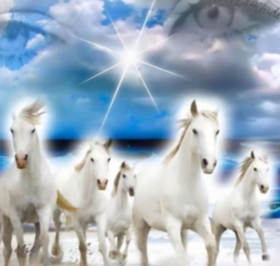 parabula tweet media