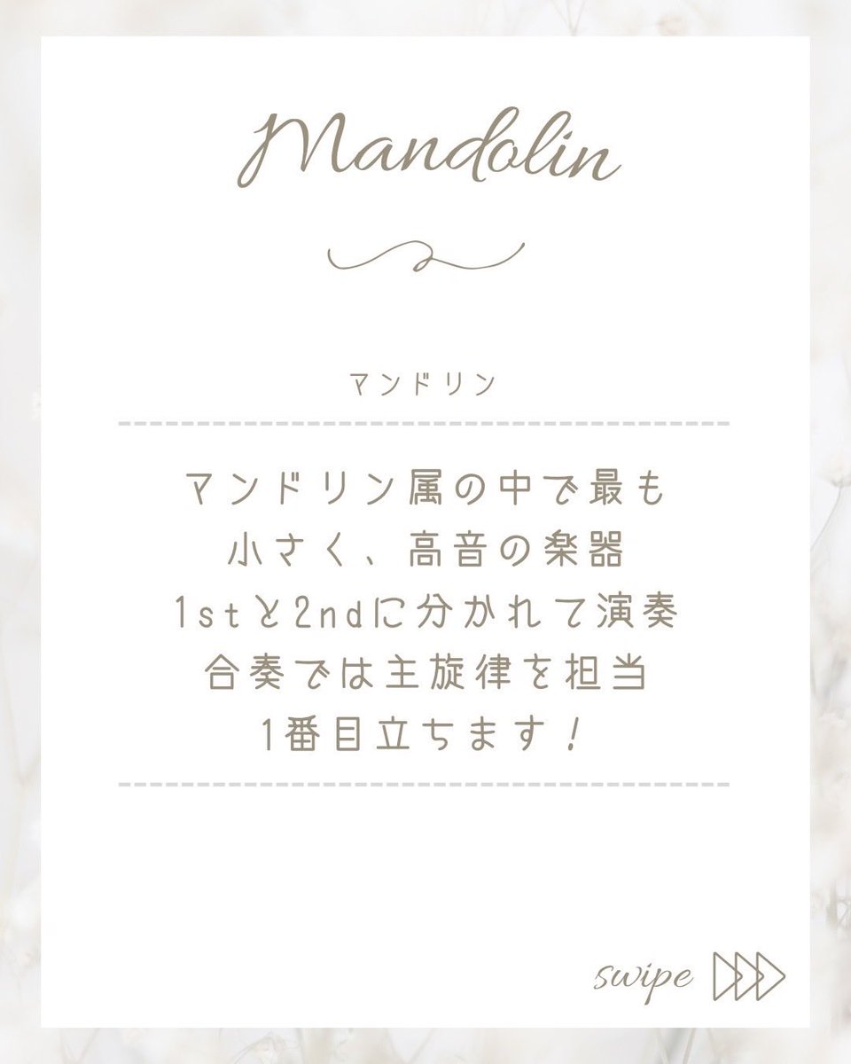 ryu_manoke's tweet photo. 楽器紹介🌸
本日は【マンドリン】について
ご紹介します🎵
マンドリンパートは現在11名で活動中です！

楽器体験は平日（火曜を除く） 17:00-19:00に開催しております！
ぜひお越しください🙌✨

#龍谷大学　#春から龍大
 #マンドリンオーケストラ https://t.co/VnWO8HjSs6
