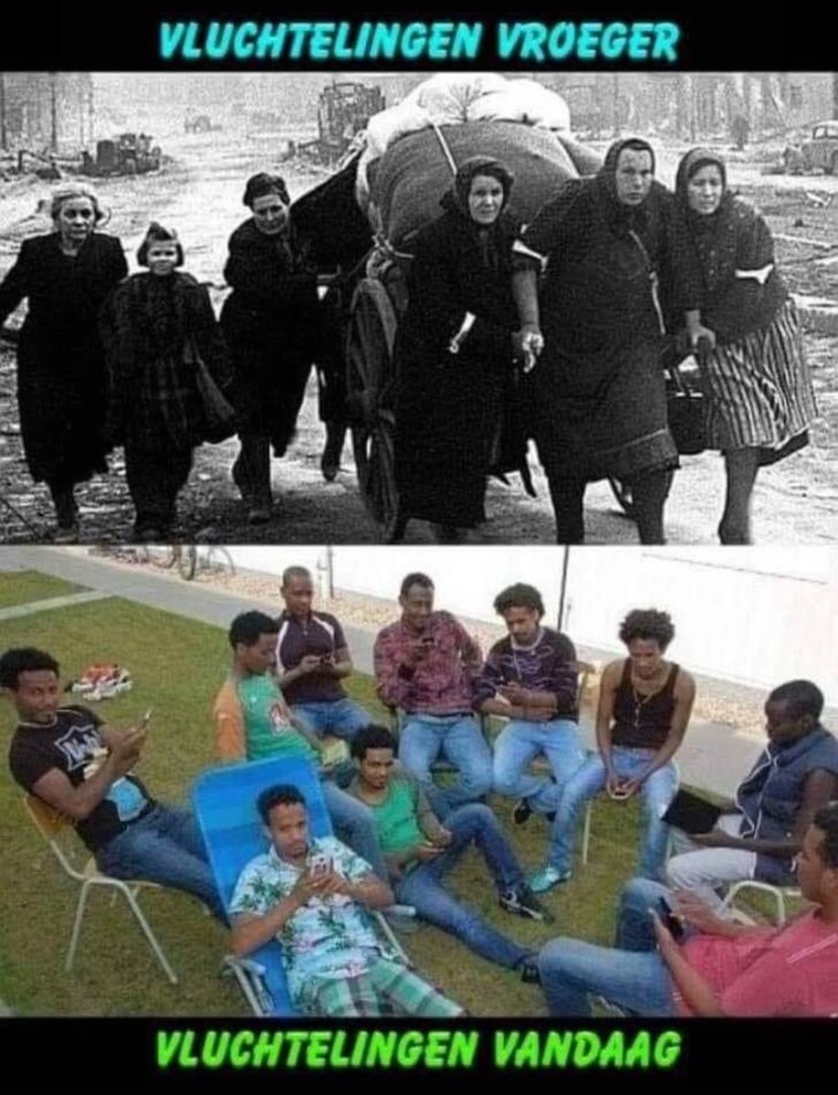 MR.FRITZ tweet media