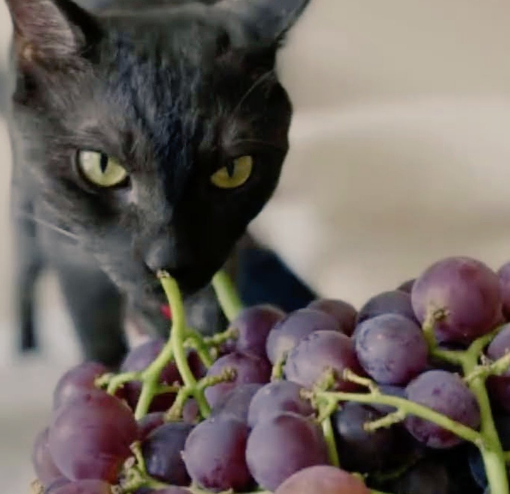 МыZлиVслух🇧🇾🤝🇷🇺 tweet media