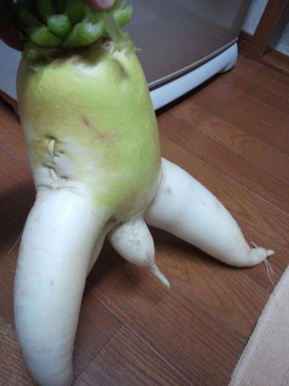 ピ口（Piro） tweet media