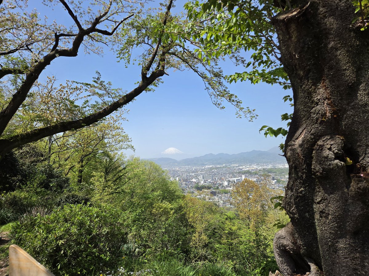 しょうご tweet media