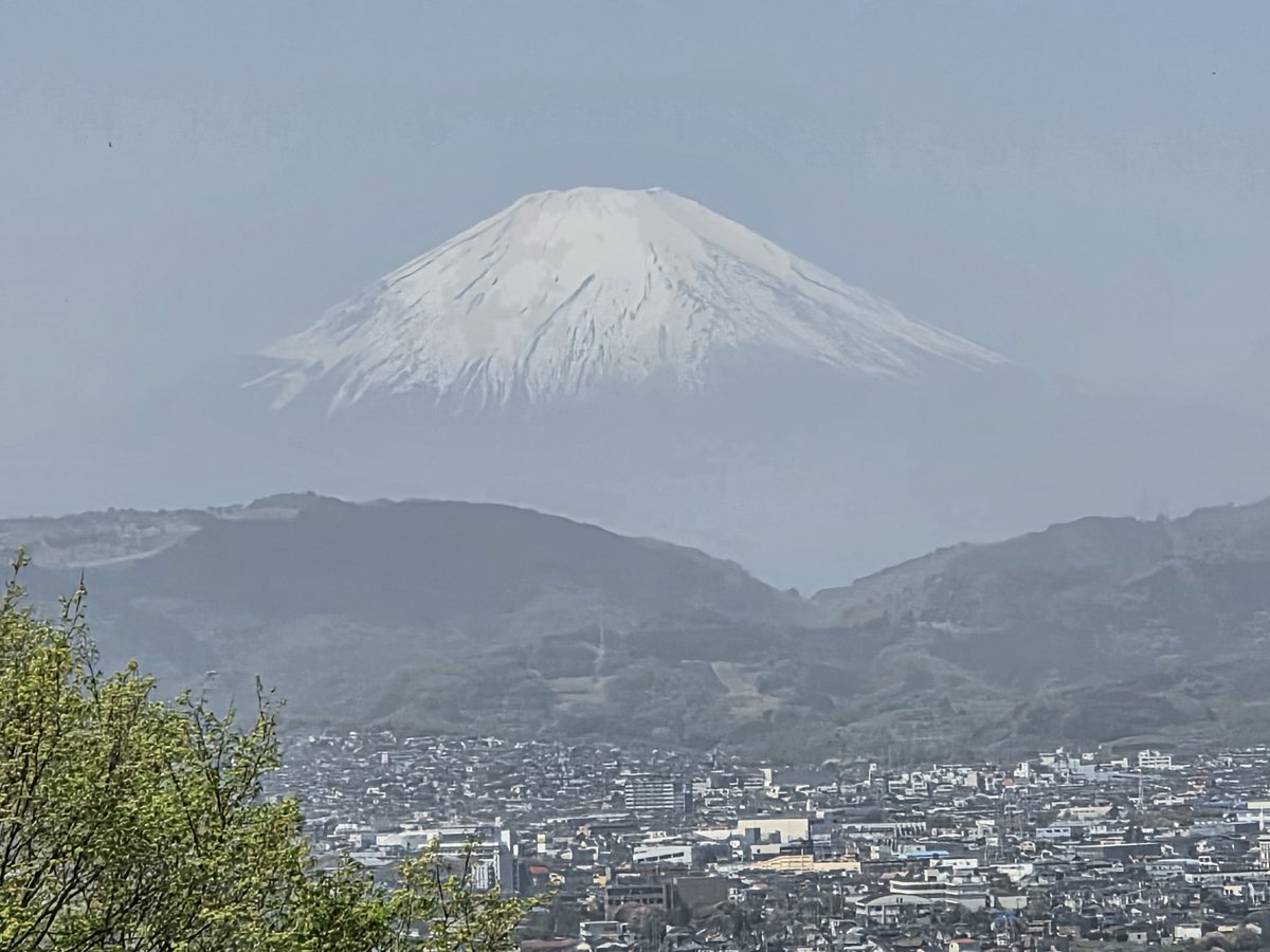 しょうご tweet media