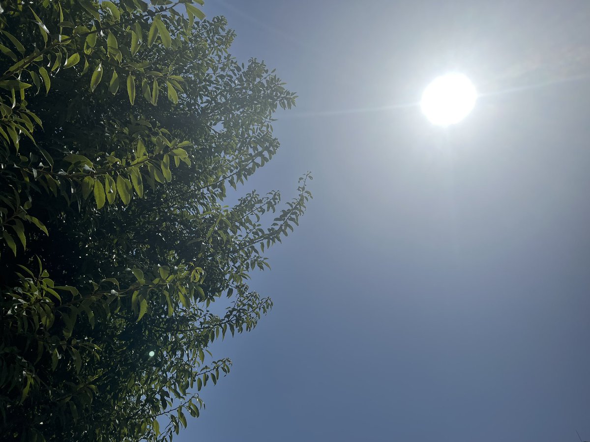 NANA(13)Drummer V⭐️ANGELS tweet media