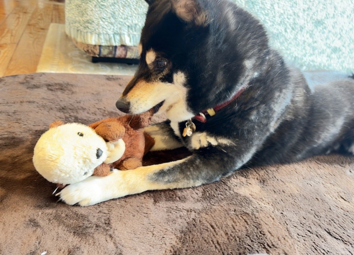 アクアライフ山田 tweet media